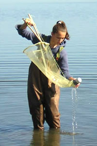 Scientist doing ocean research